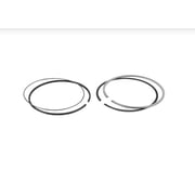 FP DIESEL FP-A4720300424 Ring Set - Single Cylinder
