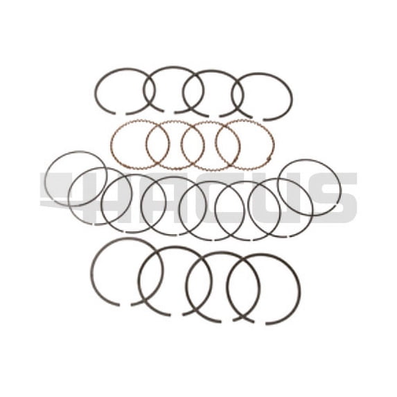 FPE - Forklift RING SET (1.00MM) 12036-50K00 HACUS Aftermarket - New