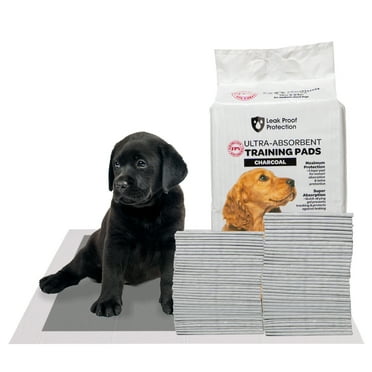 FPN Charcoal Puppy Pads 13x18 Inch | Pack of 100 | Odor-Control Super Absorbent 5-Layer Leak-Proof Disposable Pee Pads for Dogs, Cats & Rabbits – Ideal for All Pets