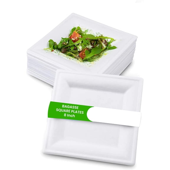 FPN Disposable Sugarcane Square Plates, Compostable AFN1Eco-Friendly Dinnerware, Biodegradable Party Plates for Hot & Cold Food (125, 8 In)