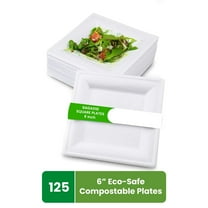 FPN Square Plates Disposable 125 Pack, 6 in Compostable Dinnerware, Party Plates for Hot & Cold Food