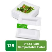 FPN Square Plates Disposable (125, 8 In) Sugarcane, Compostable Eco-Friendly Dinnerware, Biodegradable Party Plates for Hot & Cold Food