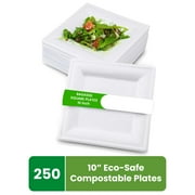 FPN Square Plates Disposable (250, 10 In) Sugarcane, Compostable Eco-Friendly Dinnerware, Biodegradable Party Plates for Hot & Cold Food
