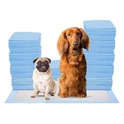 FPN Training Pads for Dogs 500 Count | Small, 13x18 inch Pee Pads for Dogs , Puppy Pads Pet Training Pads, 5 Layer Pads for Absorption