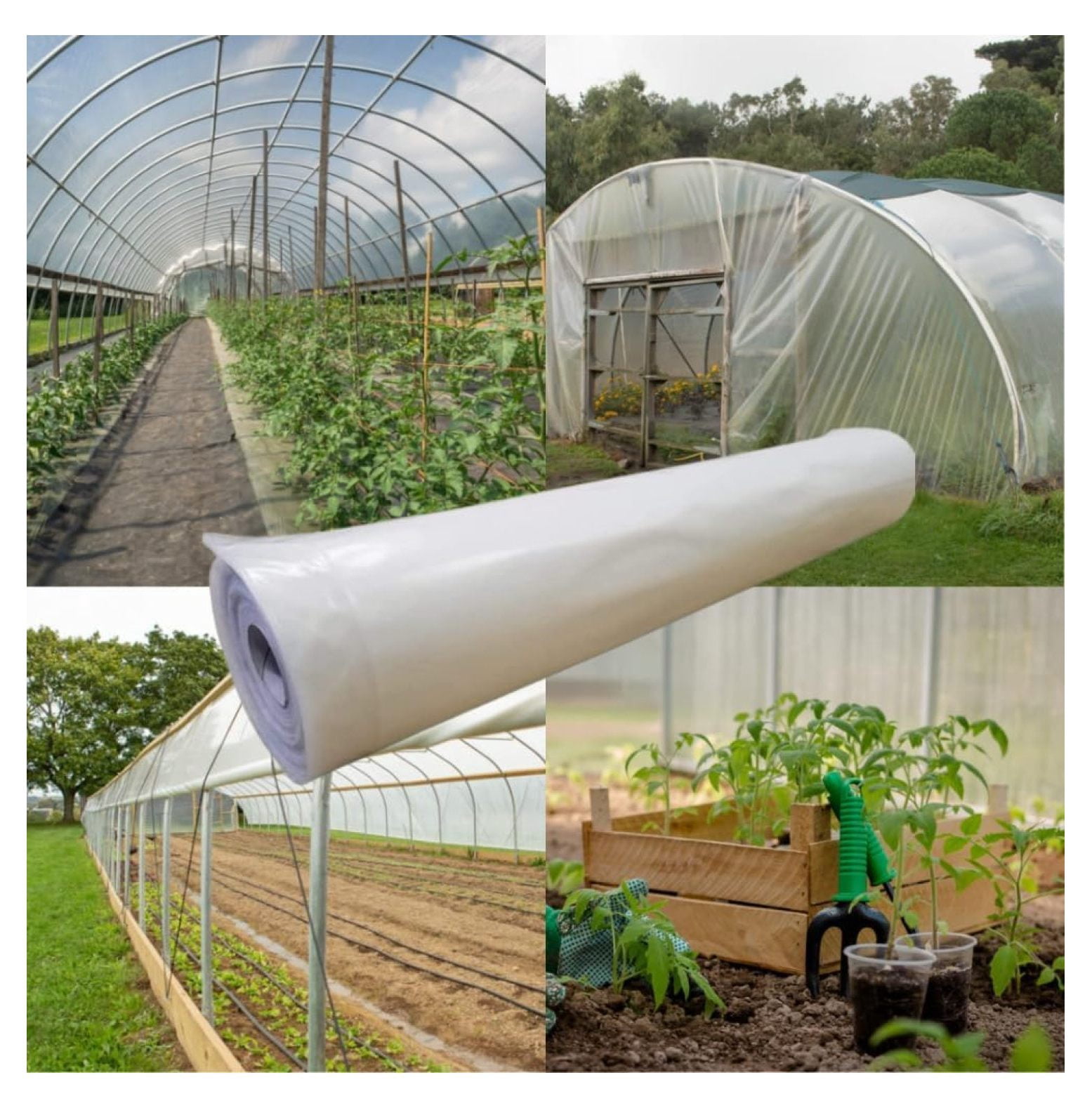 Greenhouse Plastic Sheets