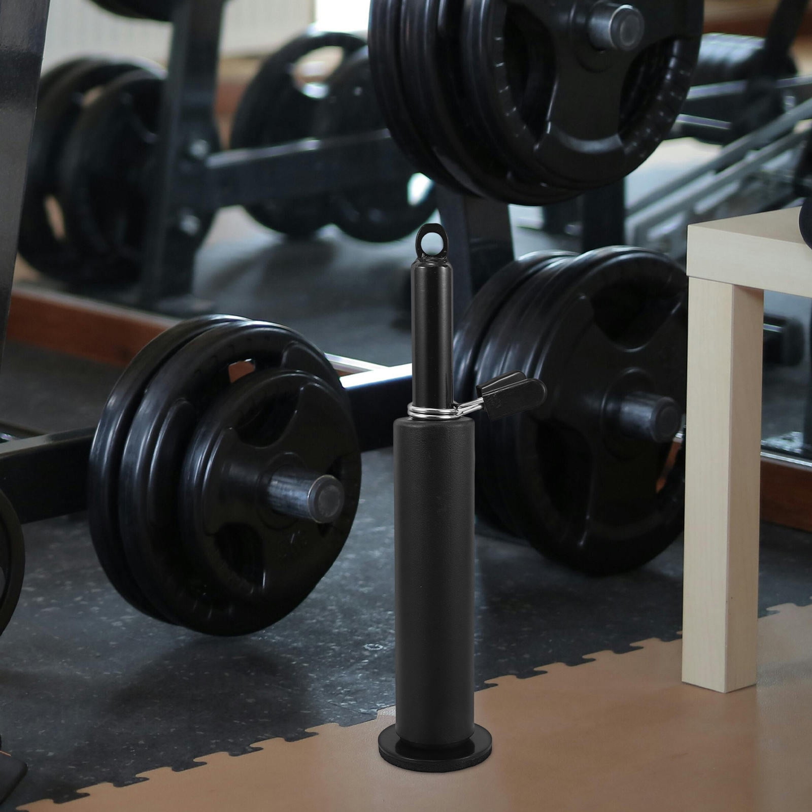 FRCOLOR 1 Set of Fitness Loading Pin Metal Weight Plate Storage Rack ...