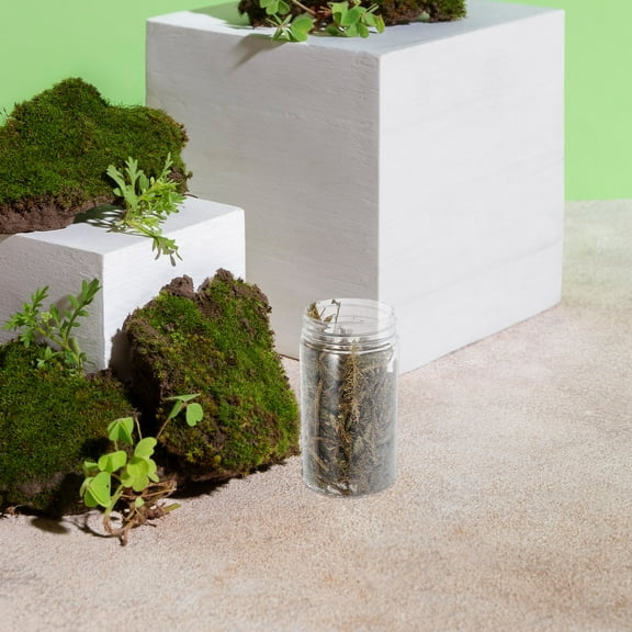 FRCOLOR 1 Set Of Sand Table Grass For Diorama Highly Realistic Bush Plants Model With Desert Diorama Kit For Diy Miniature Landscaping Projects