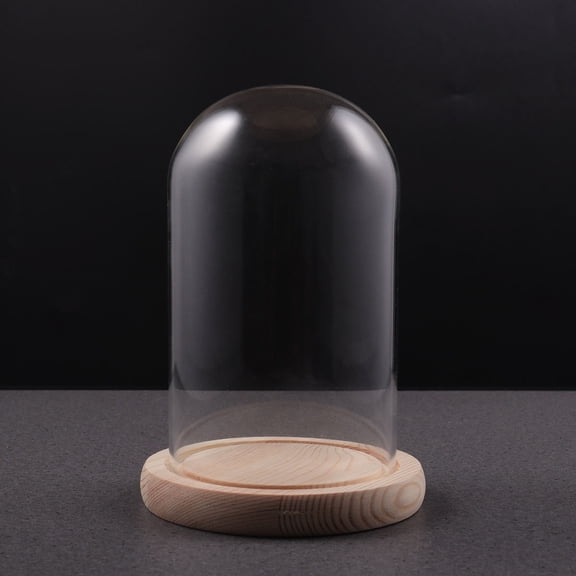 UPOUART Small Display Dome Transparent 1 Set