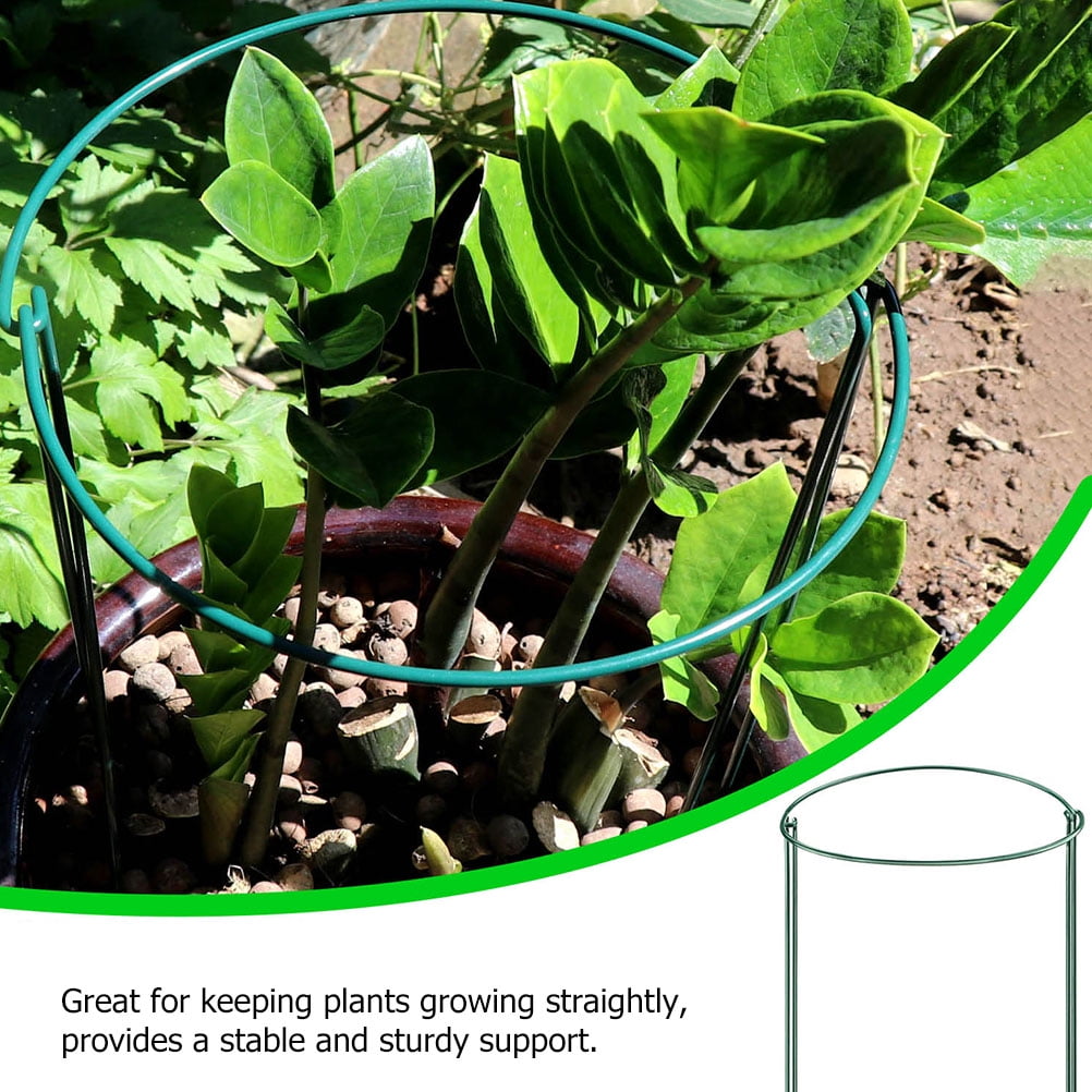 LABSERRON Plant Support Frame Green Garden Trellis for Clematis and Rattan Plants