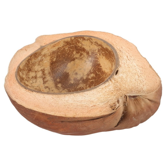 FRCOLOR 1Pack Natural Coconut Shell Bowl for Dessert Bowls and Food Serving 11.8x7.0x2.8in