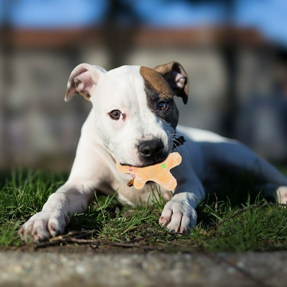 FRCOLOR 1Set Dog Plush Toy Christmas Theme Safe Playing For Puppies Brown Light Brown