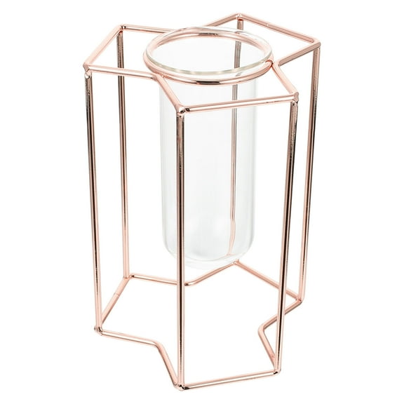TAILTOSS 1Pc Golden Metal Rack Hydroponic Planter with Clear Glass Tube for Decoration