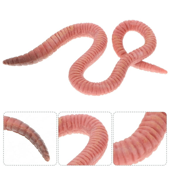 FRCOLOR 2 Pcs Plastic Earthworm Toy Model Crawlers Fidget Child Pink