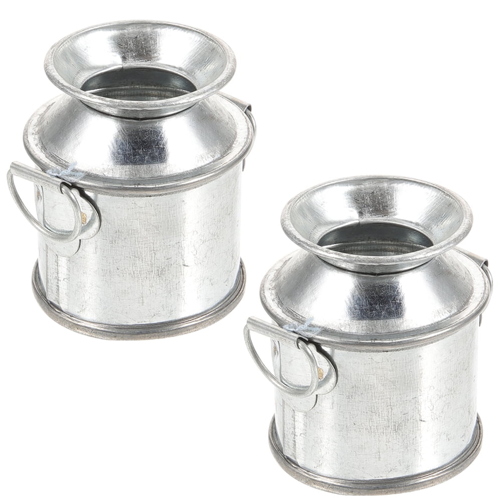 Fake Bucket main image 1