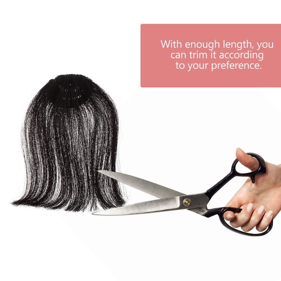 FRCOLOR 2 Pcs Woman Clip Hair Fringe Bangs Wig Piece See-through Wigs