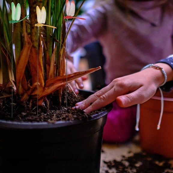 FRCOLOR 20Pcs Simulation Dragonfly Garden Stakes with Iron Wire and PVC Material