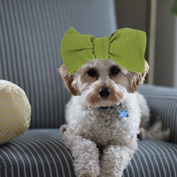 FRCOLOR 2Pcs Pet Headdress for Dogs and Puppies with Chic Design 9x3x17 5in