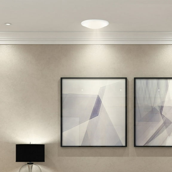 FRCOLOR 2pcs Ceiling Light For Ceiling Lights Round Lamp Shade Replacement Plastic Globes For Light Fixtures For Kitchen Bathroom Bedroom