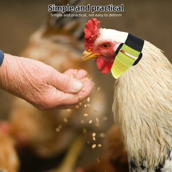 FRCOLOR 2pcs Nylon Rooster Crowing Collar Chicken Replacing Neck Belts Adjustable Poultry Collars Anti-crowing Bands Noise-free Neck Belts