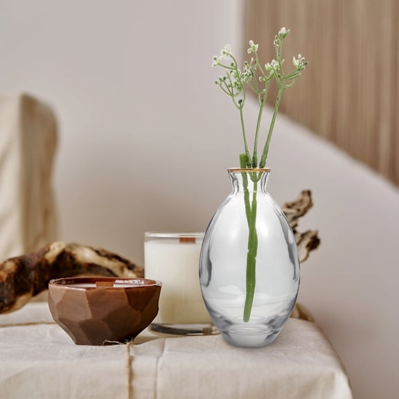 TAILTOSS 3Pcs Fine Workmanship Transparent Glass Vase for Home Decoration