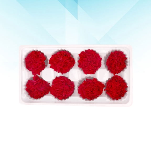 LABSERRON Dried Carnation Flower Non-Withering -Pcs