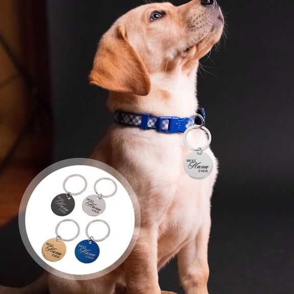 WASHWEPE Stainless Steel Dog Tags 4Set 1.2x1.2in