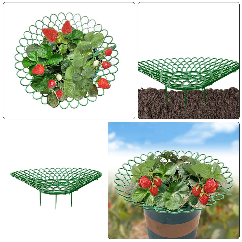 FRCOLOR 5Pcs Garden Strawberry Supports Planting Racks for Balcony and ...