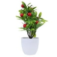 thumbnail image 1 of FRCOLOR 6 PCS  Lifelike Desktop Potted Plant Adornment Emulated Fortune Tree Red Fruit Decor, 1 of 8