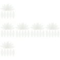 thumbnail image 1 of FRCOLOR 600 pcs  Leaves Dried Rubber Tree Natural Leaf Specimen DIY Craft Supplies for Scrapbook Wedding Invitations ( White ), 1 of 8