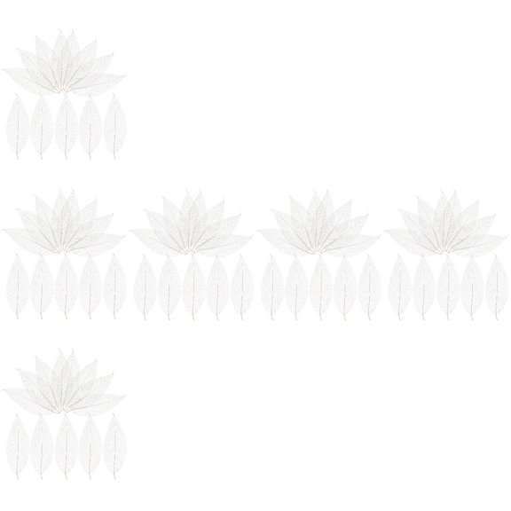 FRCOLOR 600 pcs  Leaves Dried Rubber Tree Natural Leaf Specimen DIY Craft Supplies for Scrapbook Wedding Invitations ( White )
