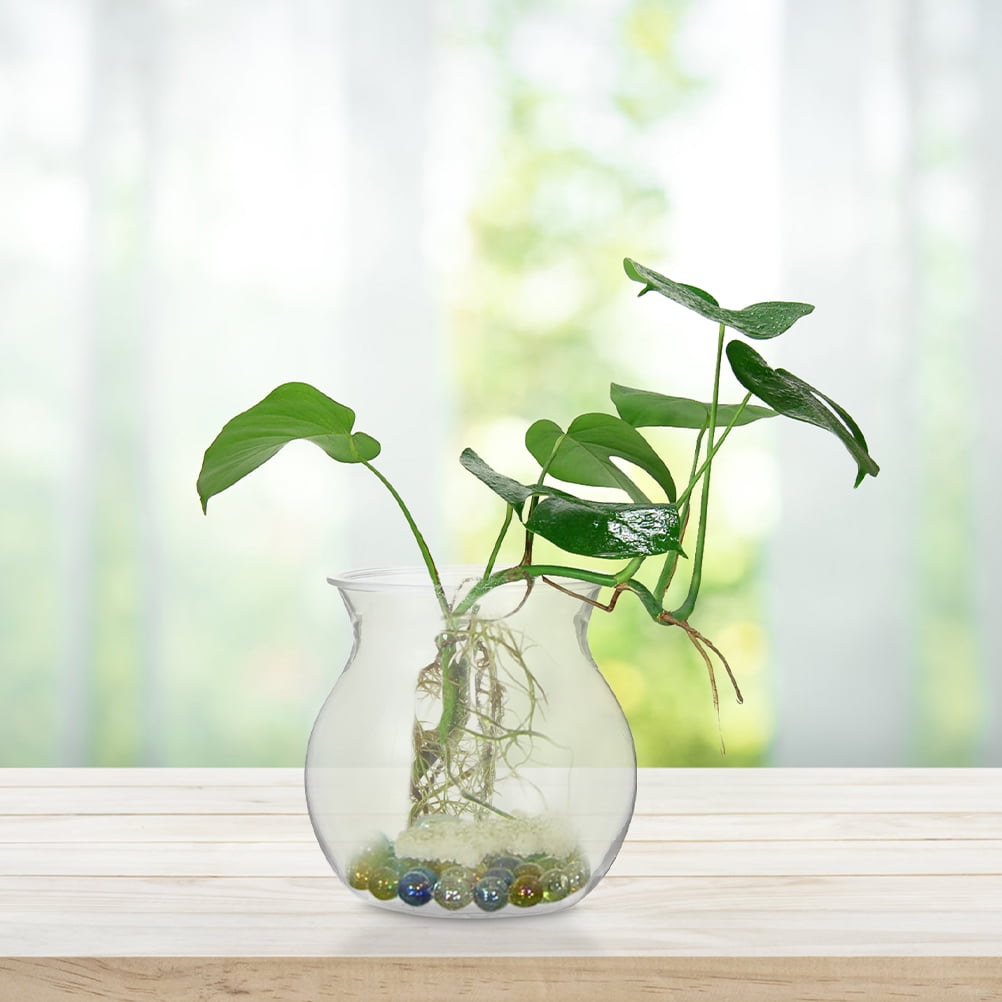 TAILTOSS 8Pcs Transparent Hydroponic Propagation Jars Unique Succulent Plant Holders