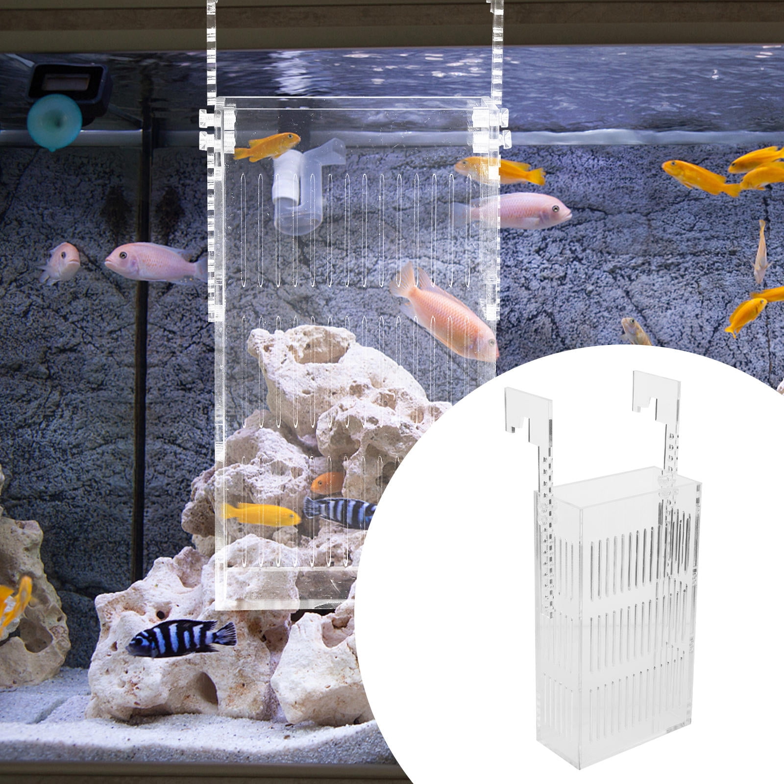 FRCOLOR Aquarium Divider Box for Betta Fish Tank with Separator Made of ...