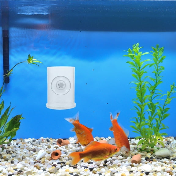 FRCOLOR Aquarium Feeding Tool With Suction Cup Clear Fish Feeding Ring Transparent Food Feeder For Shrimp Feeding Tray For Aquarium Fish Tank Accessories