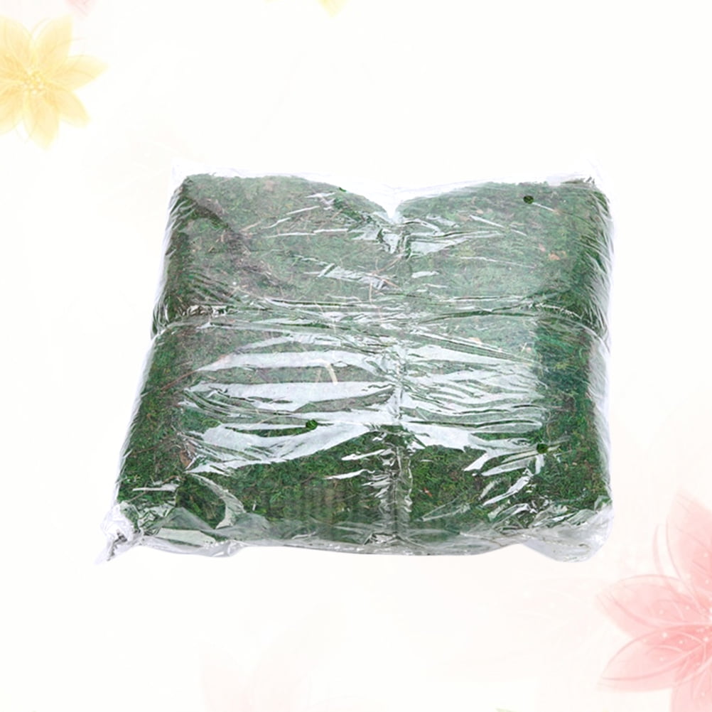 FRCOLOR Artificial Moss Craft Artificial Moss Lichen Green Synthetic Material 1Pack Relieve Eye Fatigue Kitchen