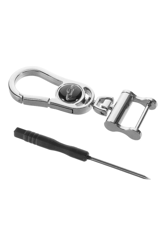 Plated Silver Key Holder with Quick Release Carabiner Clip for Car Keys and Keychain Organizer