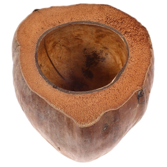 FRCOLOR Natural Coconuts Shell Bowl for Home Use Brown Decorative and Functional Lightweight Easily