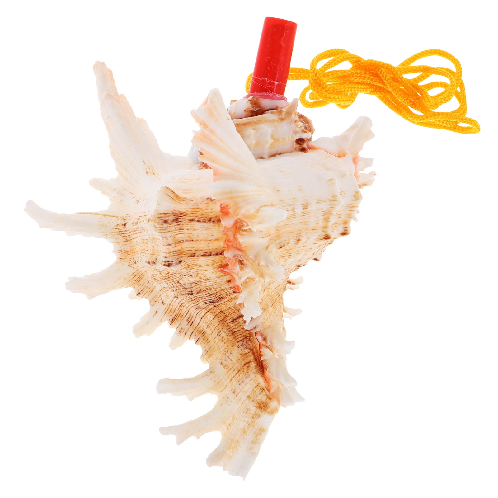 FRCOLOR Conch Shell Whistle Large Conch Shell Kids Whistle Plaything ...