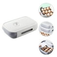 thumbnail image 1 of TAILTOSS Rectangular Egg Organizer PP 1Pack For Refrigerator 12.6X8.3In, 1 of 8
