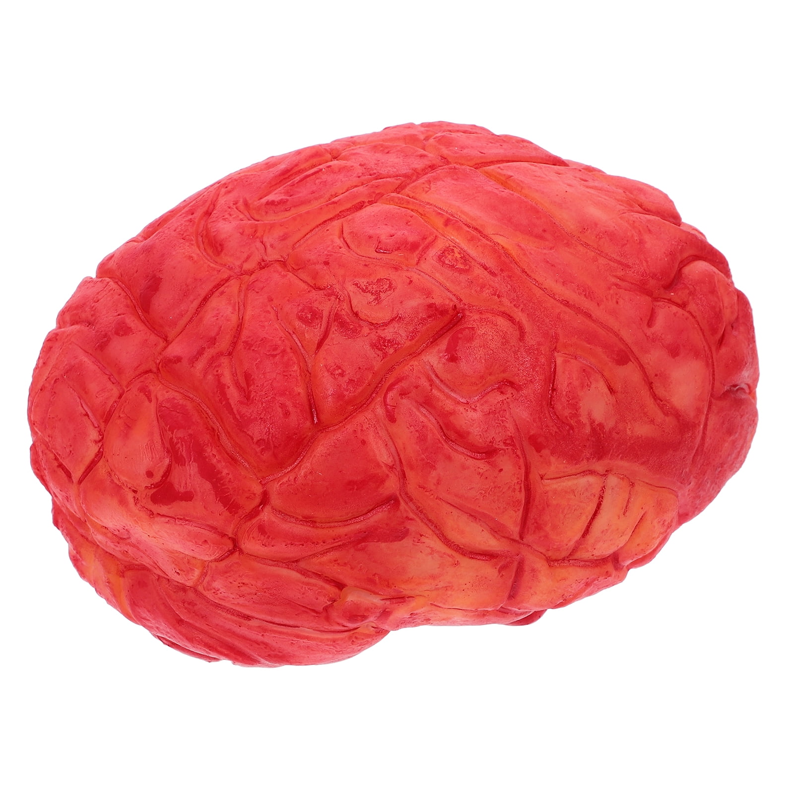 FRCOLOR Fake Brain 1Pc Halloween Prop Bloody Scary Fake Organ Human ...