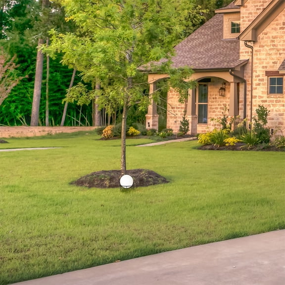 FRCOLOR Gazing Globe Fixing Holder Crystal Ball Display Base Gazing Ball Displaying Stand