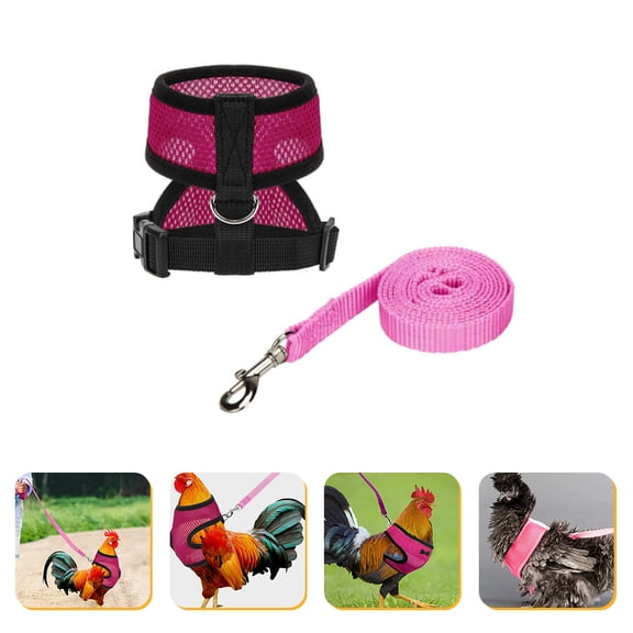 FRCOLOR Chicken Pet Harness with Leash Rosy Vest for Easy Hen and Rooster Training Outdoors