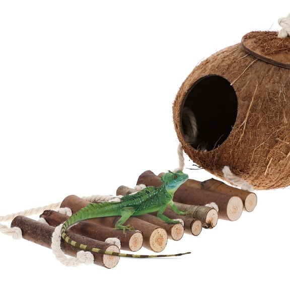 FRCOLOR Hermit Crab Shell Hut Cave Habitat with Ladder Hanging Ring Coconut