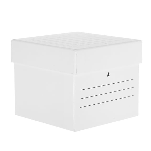 FRCOLOR  Ice Storage Bin for Freezer Small Containers with Lids White