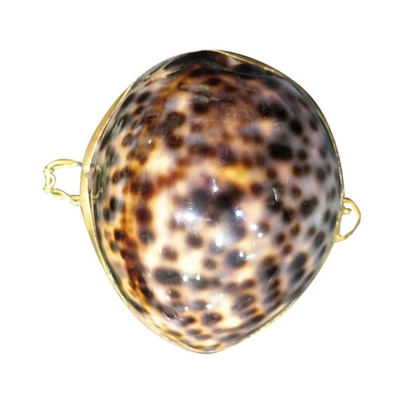 FRCOLOR Kit Shell Jewelry Box Ring Earring Case Woman 6*6cm