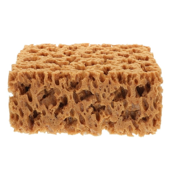 FRCOLOR Natural Sponge Paint Brush Tool Art for Walls Furniture and Crafts Soft Detailed Precise Brush for Kids Adults