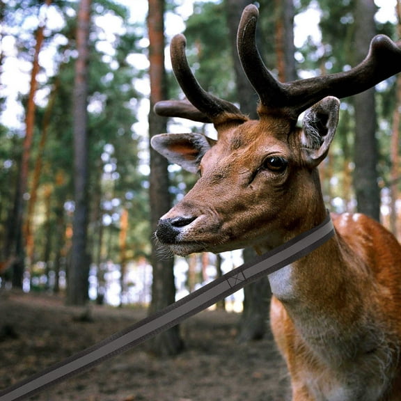 FRCOLOR Nylon Deer Dragging Rope Portable Hunting Gear Professional Deer Carrier Hunting Accessory