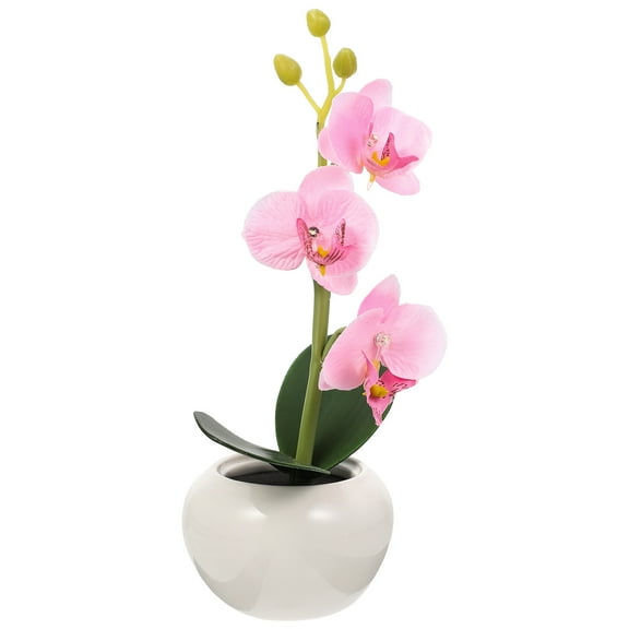 FRCOLOR Orchid Flower Lamp Orchid Lights Solar Artificial 12*12CM