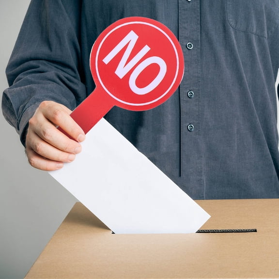 HAKIDZEL Handheld No Paddle Voting Board Assorted Color 4Pcs 11.8X5.9X0.2In