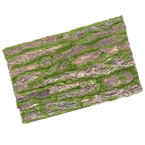 FRCOLOR Tree Bark Decor for Reptiles, Natural Multi-Color, Safe and Durable Terrarium Background