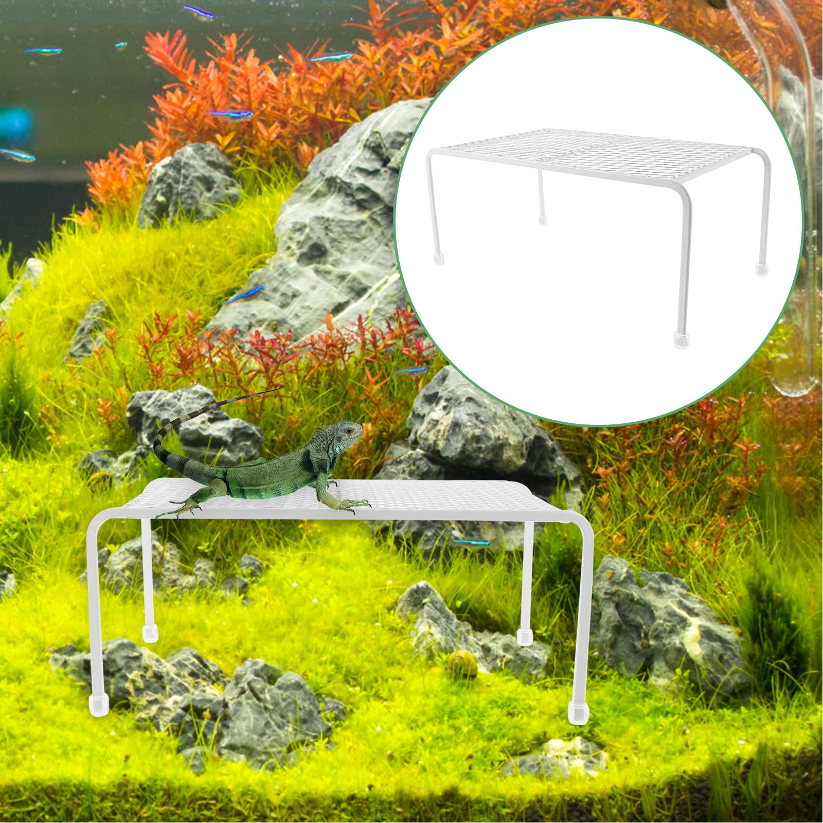 FRCOLOR Reptile Mesh Storage Stand with Feeding Rack and Lounge Chair ...